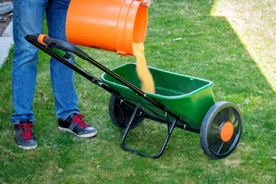 How Lawn Fertilization Promotes Dense Grass Coverage in Saginaw, MI