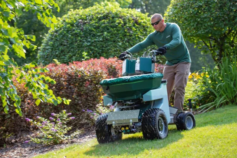 Detailed Lawn Maintenance