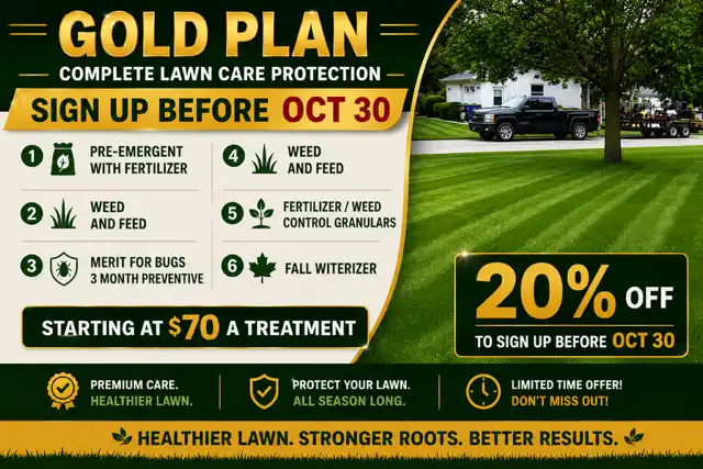 Detailed Lawn Maintenance
