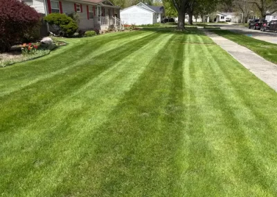 Excellent Lawn Fertilization Saginaw, MI