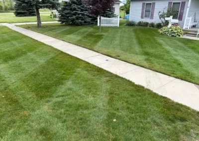 Professional Weed Control