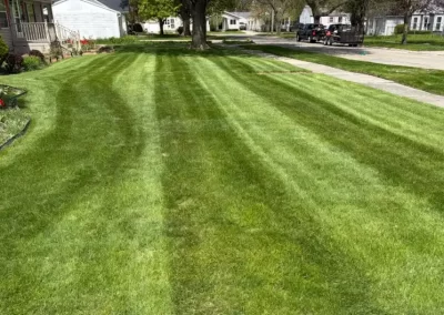 Professional Weed Control in Saginaw, MI