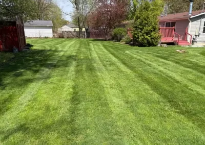 Reliable Lawn Fertilization Saginaw, MI