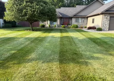 Yard Weed Control