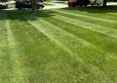 Affordable Lawn Mowing