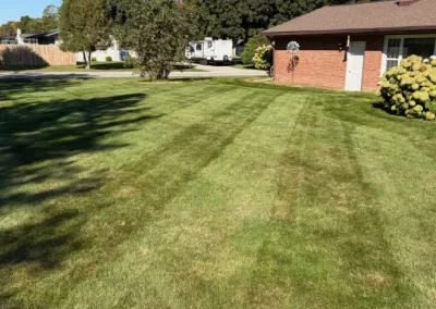 Lawn Mowing