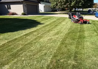Lawn Mowing
