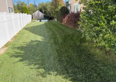 Lawn Mowing