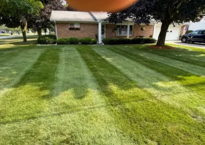Quality Lawn Mowing