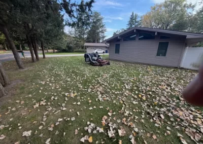 Yard Weed Control